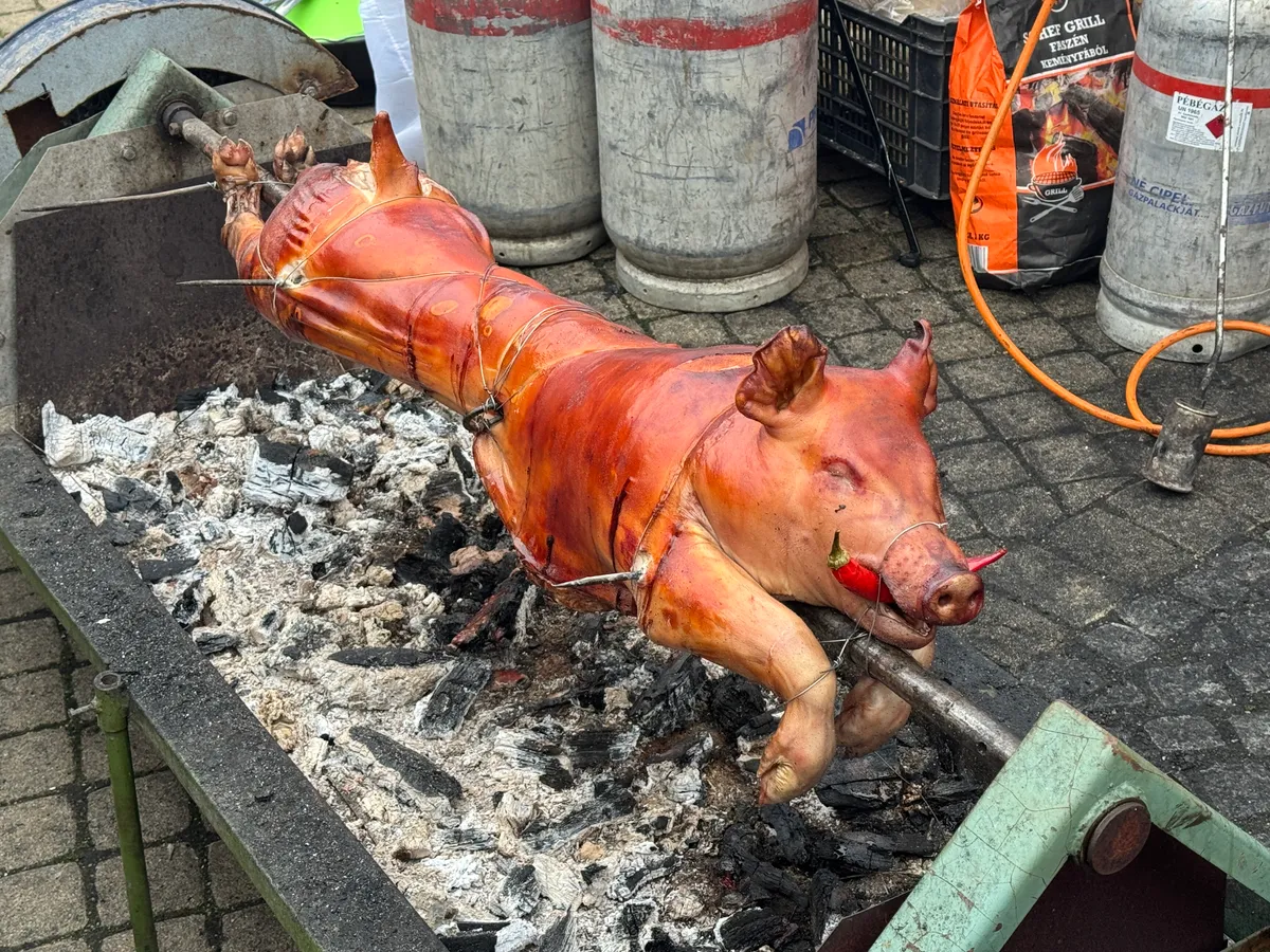 2025.12.18.Malacsütödét megtorpedózták a vegánok.
Prohászka Csaba