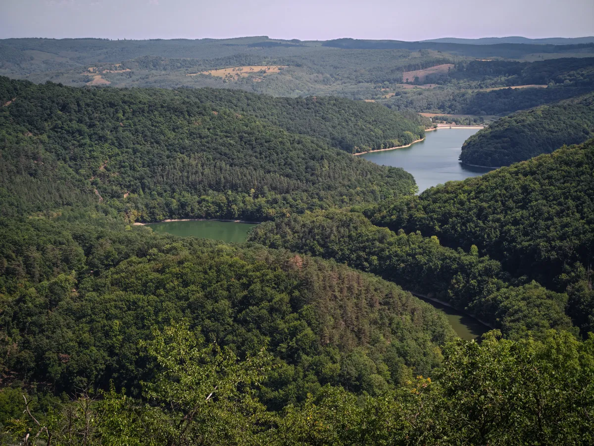 A Lázbérci Tájvédelmi Körzet legfontosabb látnivalója a Lázbérci víztározó madártávlatból, körülötte erdőkkel.