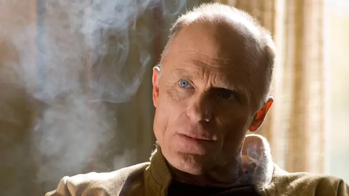75 éves lett Ed Harris: a legenda, akit csak a gondolkodó nők szexszimbólumának hívnak