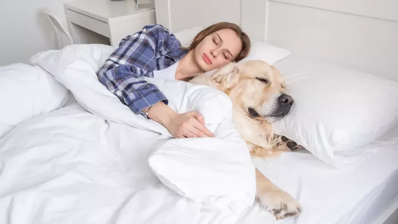 Te jól csinálod? Ilyen gyakran kellene ágyneműt cserélni: ne halogasd, mert baj lehet belőle