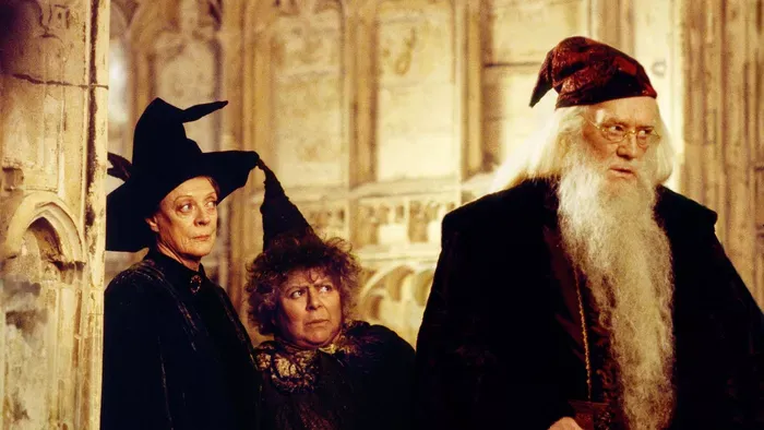  A Harry Potter filmek sztárja ízekre szedte a sorozatot!