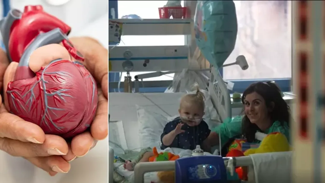 „Teljesen egészséges kisfiúként született, soha nem volt vele semmilyen probléma” – a kétéves Balázs műszívvel várja a csodát