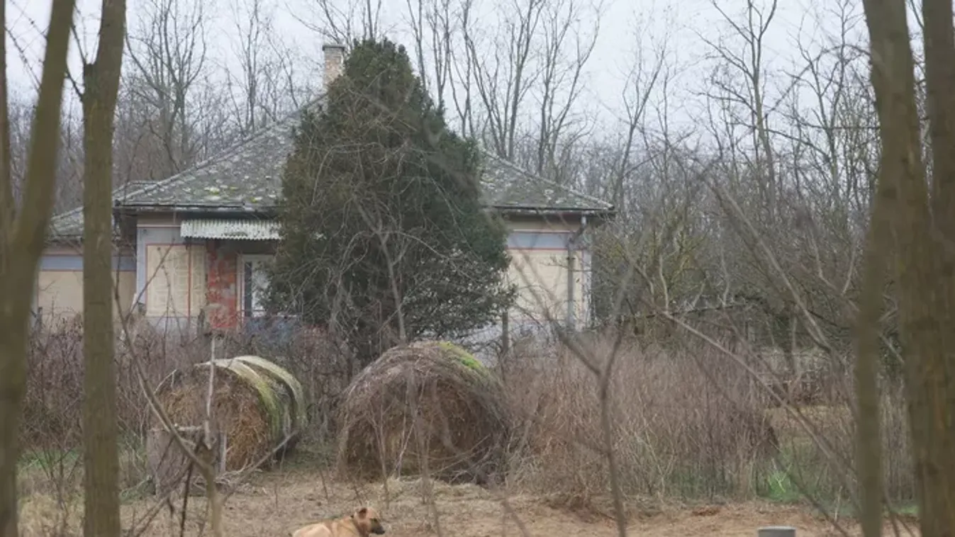 Lövöldözés Nyírlugoson: döbbenetes részletek derültek ki az orvvadászról