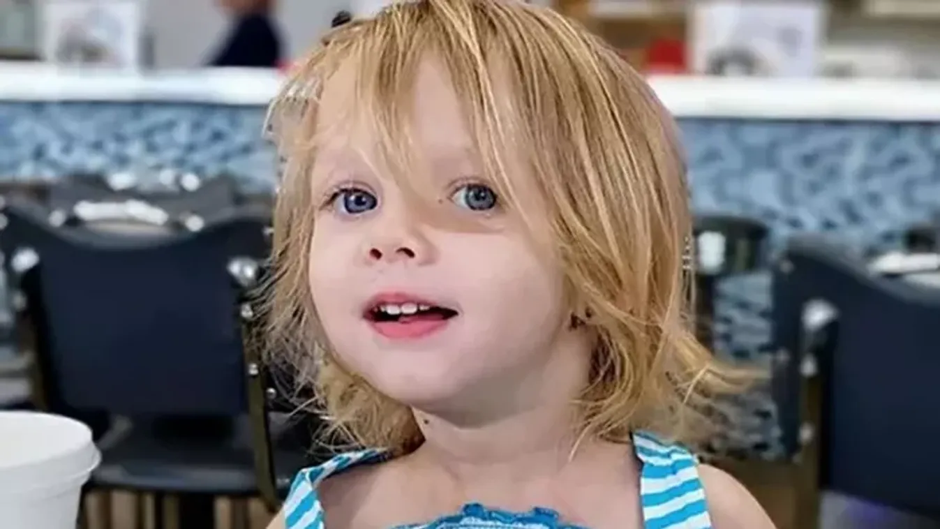 Borzalmas tragédia: tündéri kislányra támadt rá a megvadult kutya