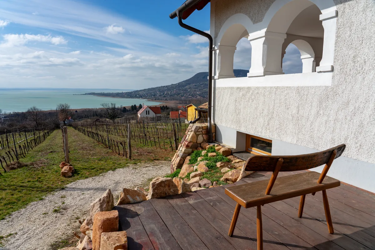 Balaton-felvidéki panoráma egy présház teraszáról, előtte szőlő és a Balaton egy tanúheggyel.