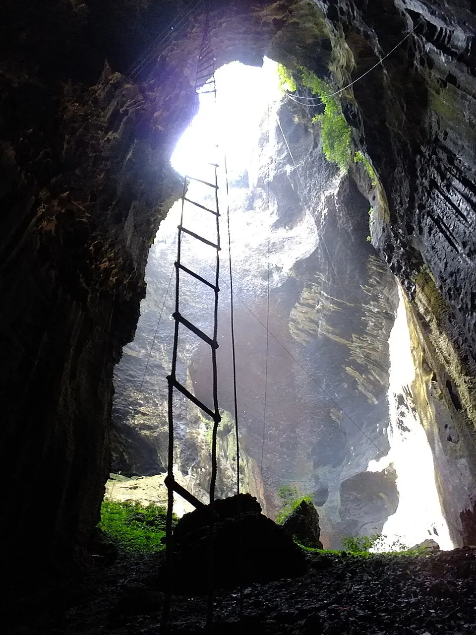 A félelmetes borneói Gomantong-barlang.
