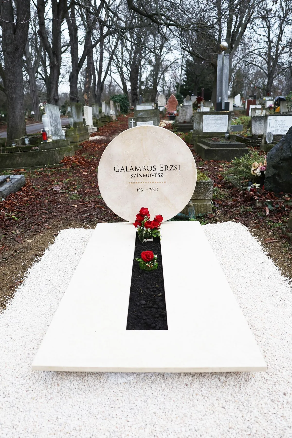 Galambos Erzsi pályája kiemelkedő volt az egész szakma számára