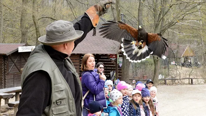 Ez a top 5 legjobb vadaspark, ha családi programra vágysz
