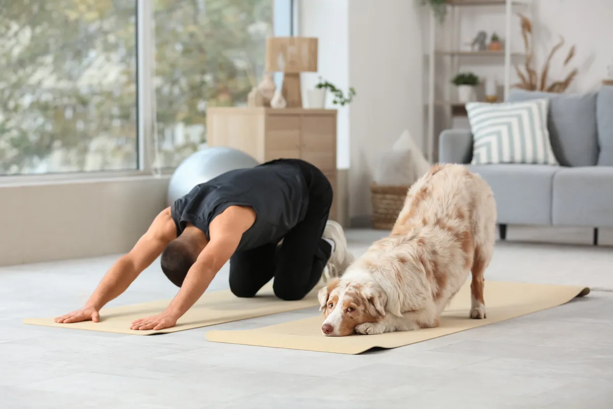 Edzés otthon kutyával