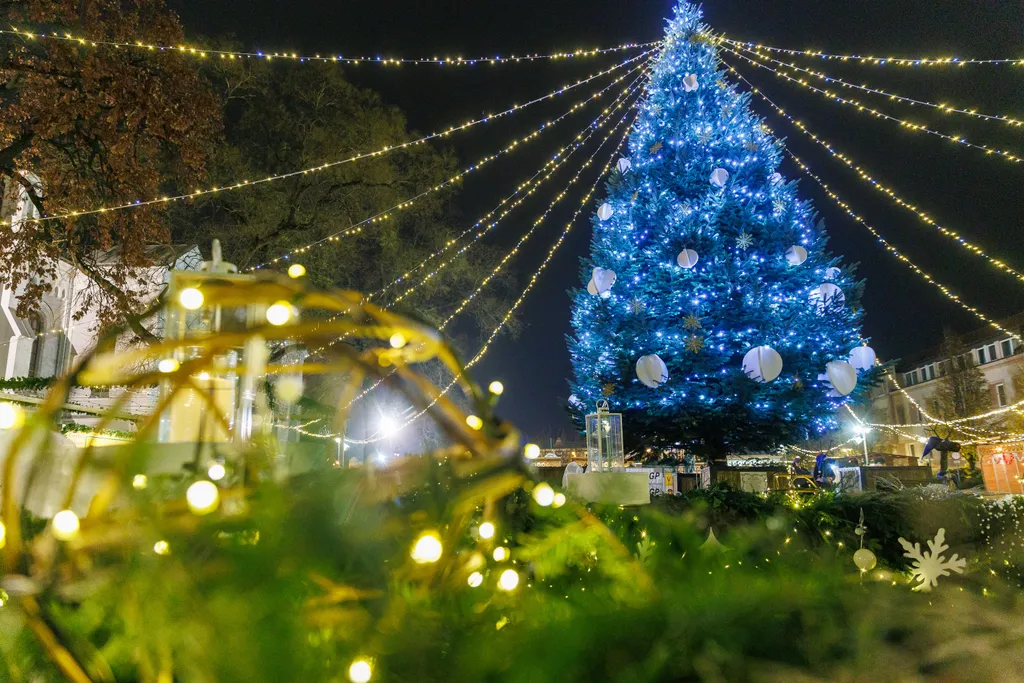 VMP20251203_Hajdúböszörmény_fényei_HAON_010
Vidéki karácsonyi fények
Hajdúböszörmény