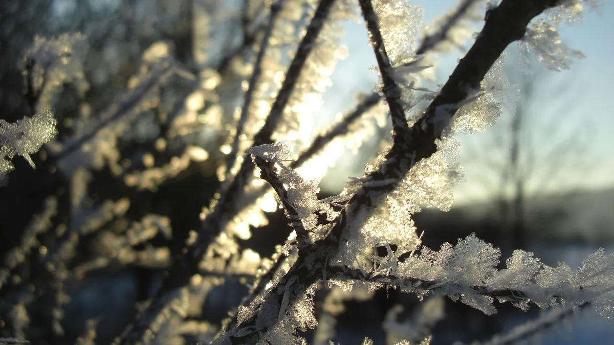 Hidegfronttal zárja az évet az időjárás.