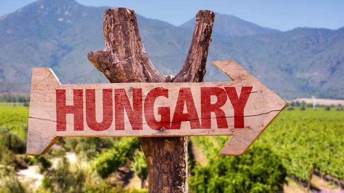 Ezek Magyarország leghíresebb borvidékei