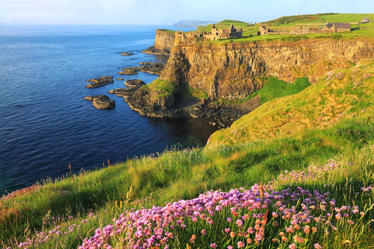 Külföldre költözés írországi úti céllal.