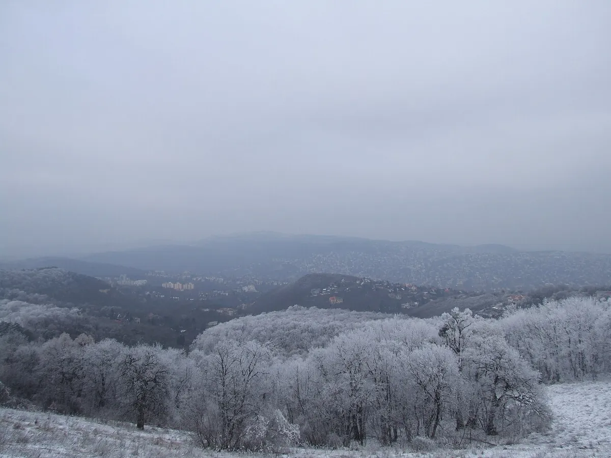 Legjobb kirándulóhelyek, kilátás a Normafáról télen, deres fákkal.
