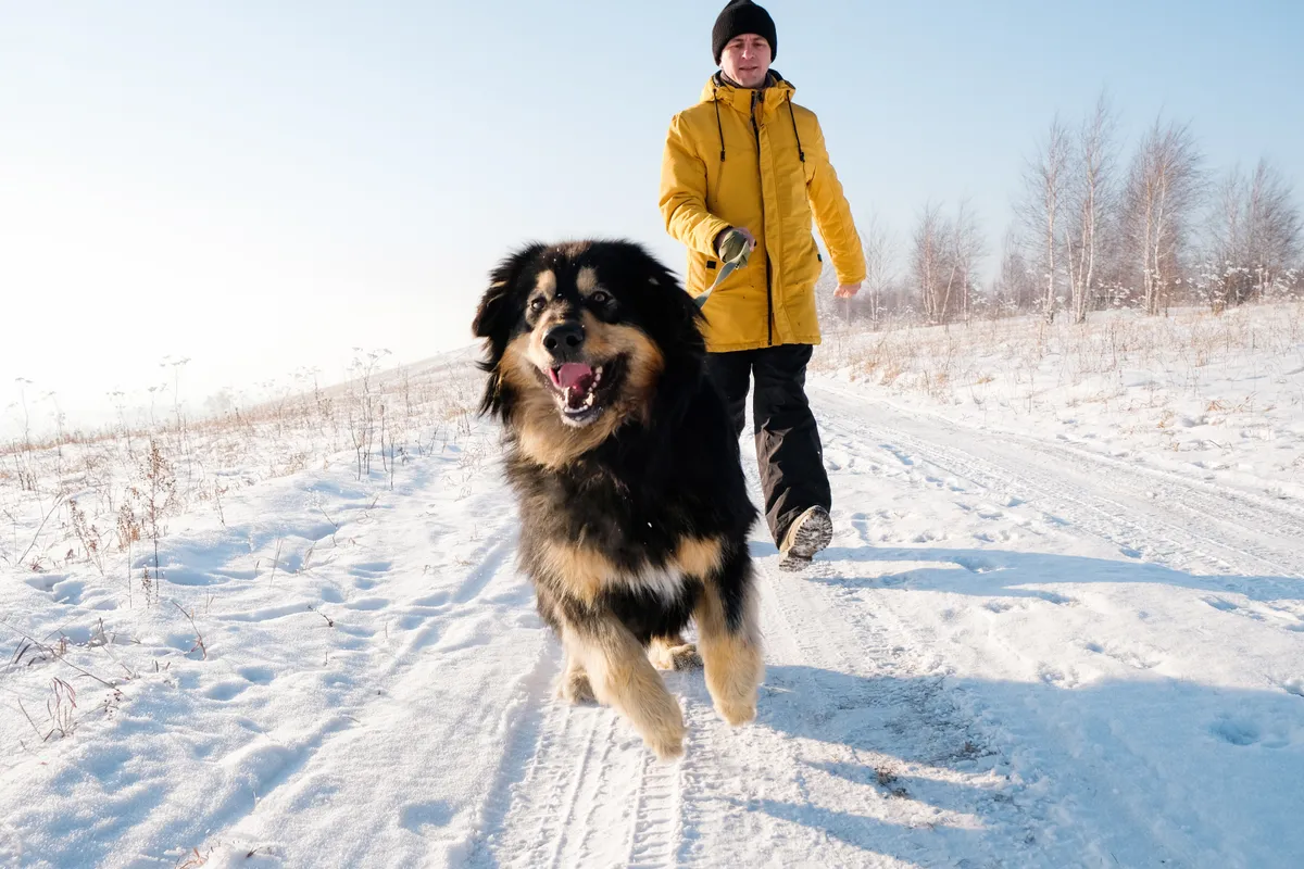 legjobb kutyabarát kirándulóhelyek, ahol kutya és gazdi is jól érzi magát.