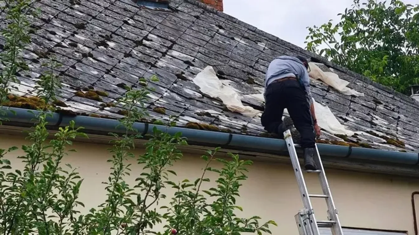 Megtalált feleség, adományok – megható történetekben segítettünk