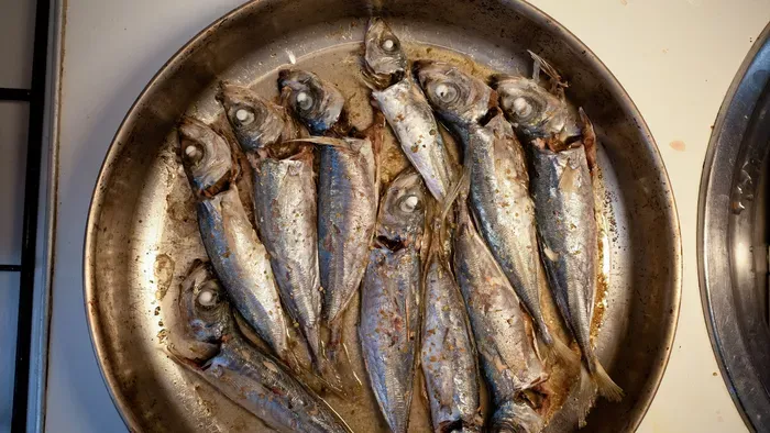 Ezek a halak adják a legfontosabb vitamint a szervezetnek