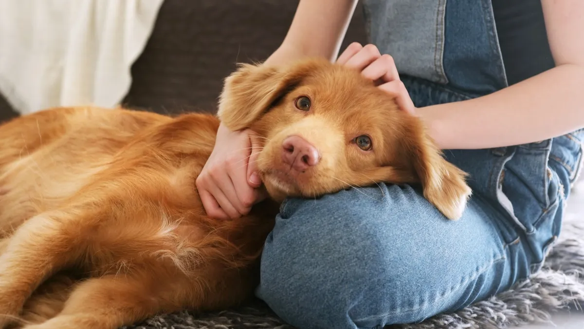 Még korai stádiumban megérezte a rákot a nő kutyája.