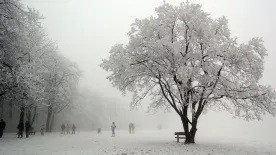 A legjobb kirándulóhelyek Budapest közelében télen is – A legszebb ösvények a főváros körül