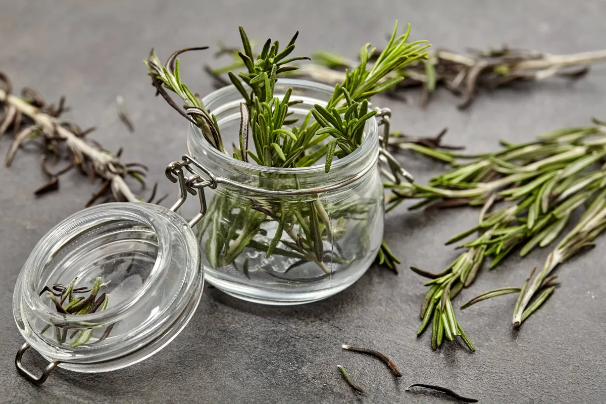 Rozmaring, amitől dús hajad lesz.