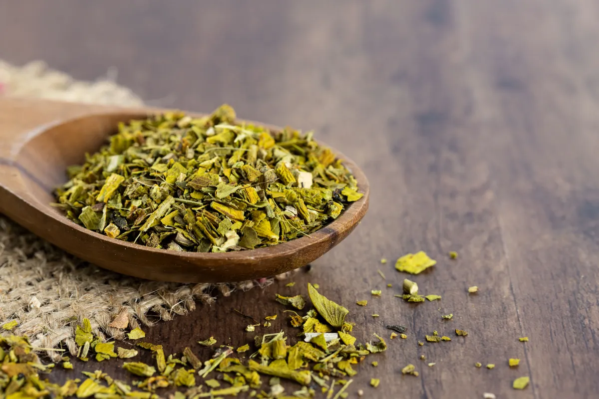 Fehér fagyöngy hatása: szárított és aprított gyógynövény fakanálban.