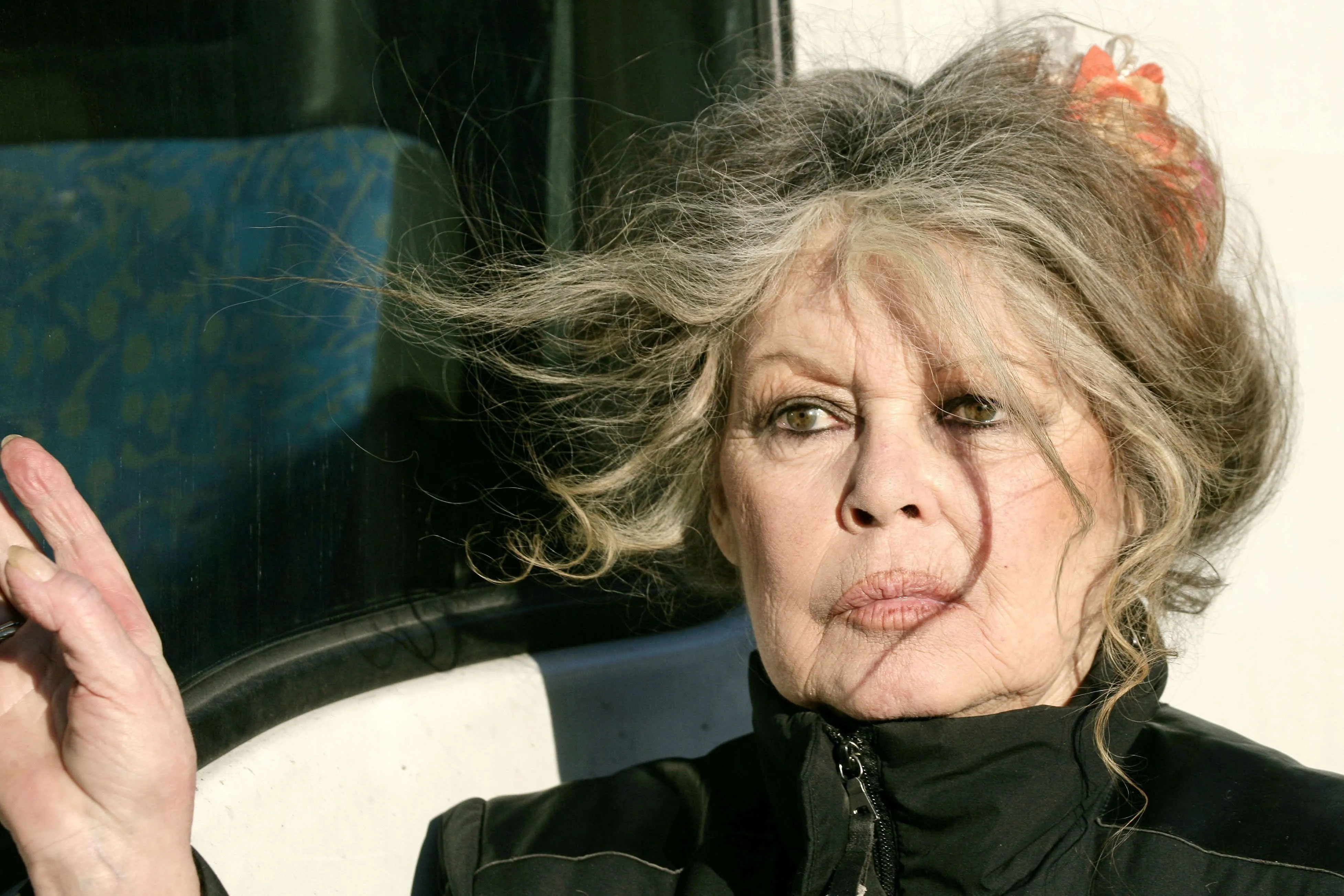 Brigitte Bardot öngyilkos akart lenni – Ez mentette meg az életét