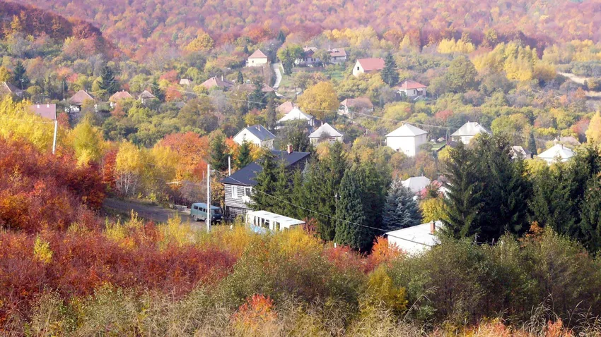 Kvíz kérdést ábrázoló kép