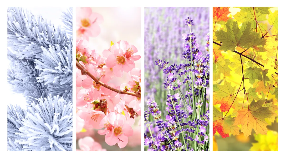 Négy évszak képei a személyiségteszt illusztrációjaként