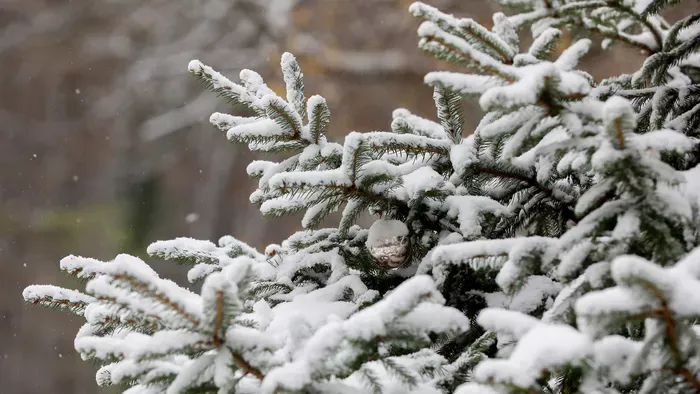 Fehér karácsony közeleg? Mutatjuk, mit ígér az időjárás