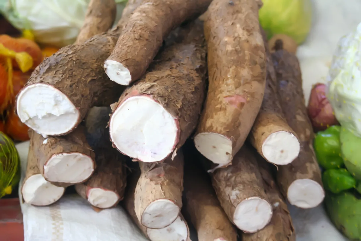 Manióka gyökerek is a világ legveszélyesebb ételei közé tartoznak. 