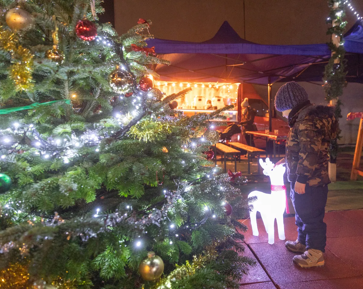 Békéscsaba karácsonyi fényekben: karáconyfával és fényinstallációval.