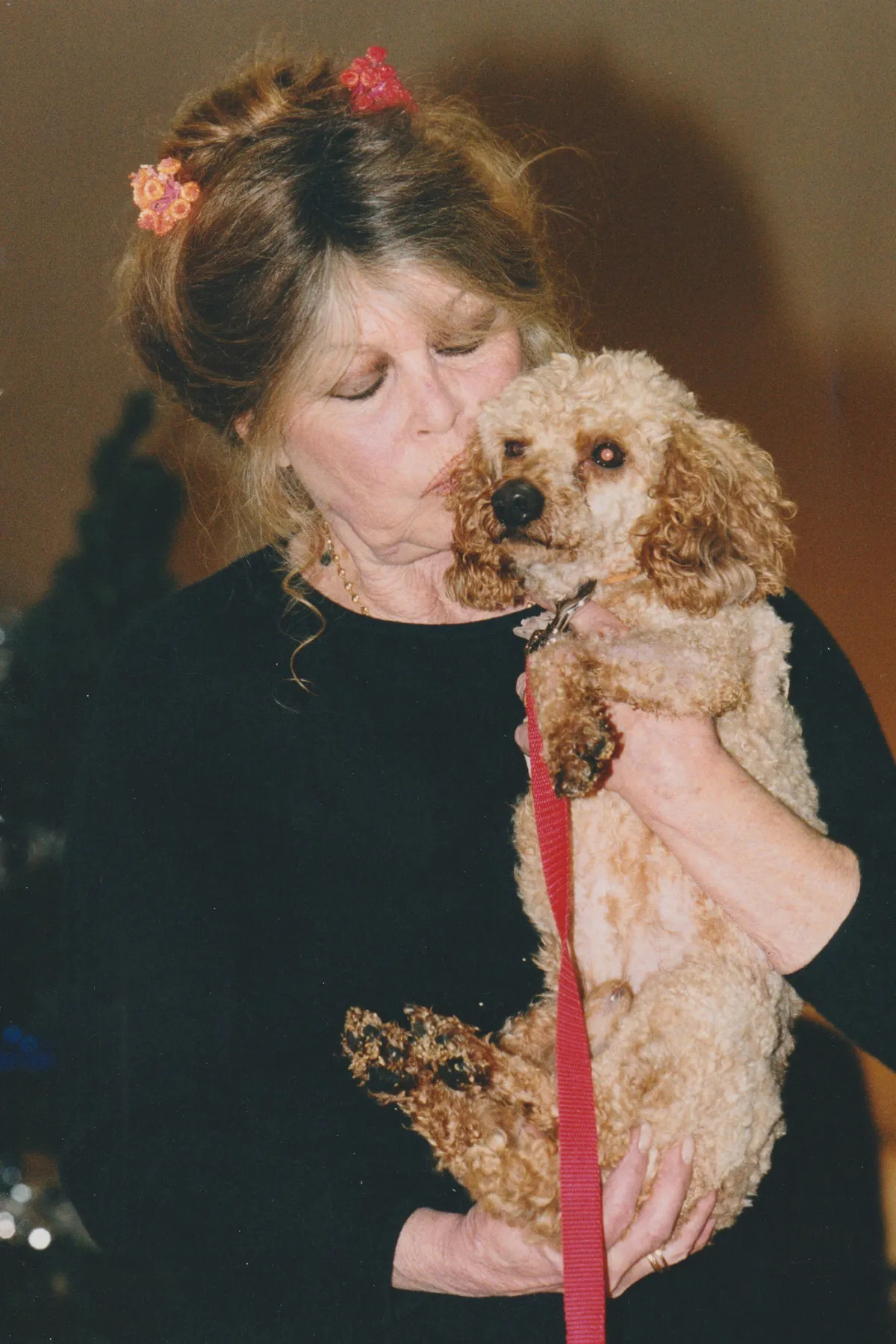 Az idős Brigitte Bardot kutyájával