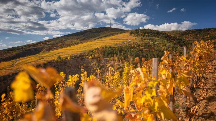 Tokaj titka, ami nem is a borban, hanem a hangulatban rejlik