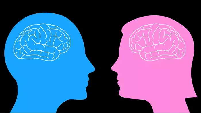 Férfi agy és női agy? A tudomány mindent cáfol, amit hittél