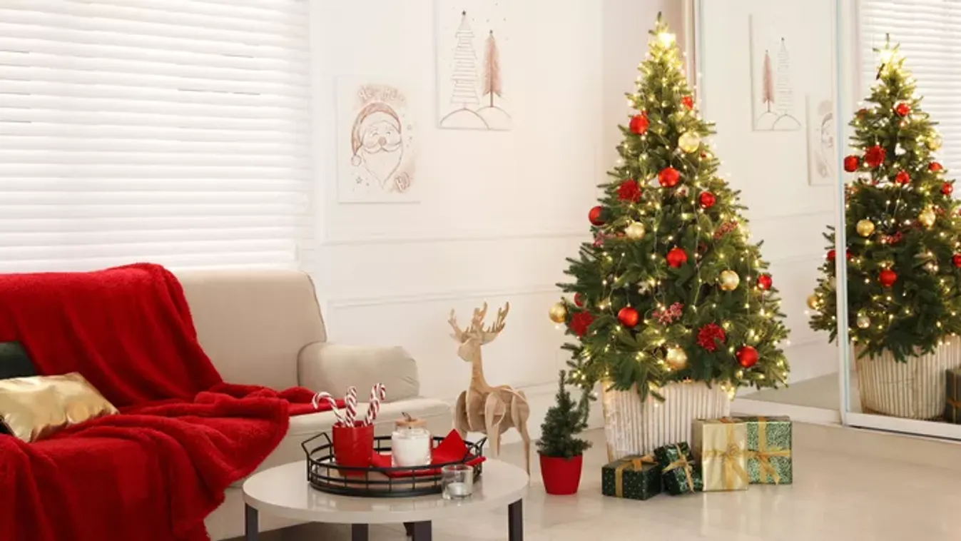 Így fogja sokáig bírni a karácsonyfa a lakásban