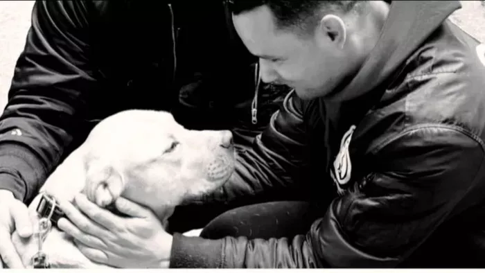 Kegyetlenül meggyilkoltak egy kutyát az ercsi menhelyen