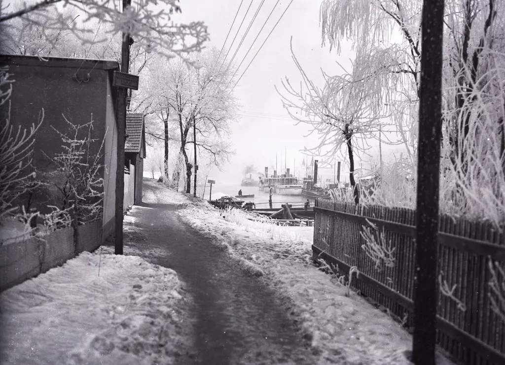 1916, Siófok - Utasszállító és vontató gőzhajók pihennek a téli kikötőben a Sió torkolatánál.