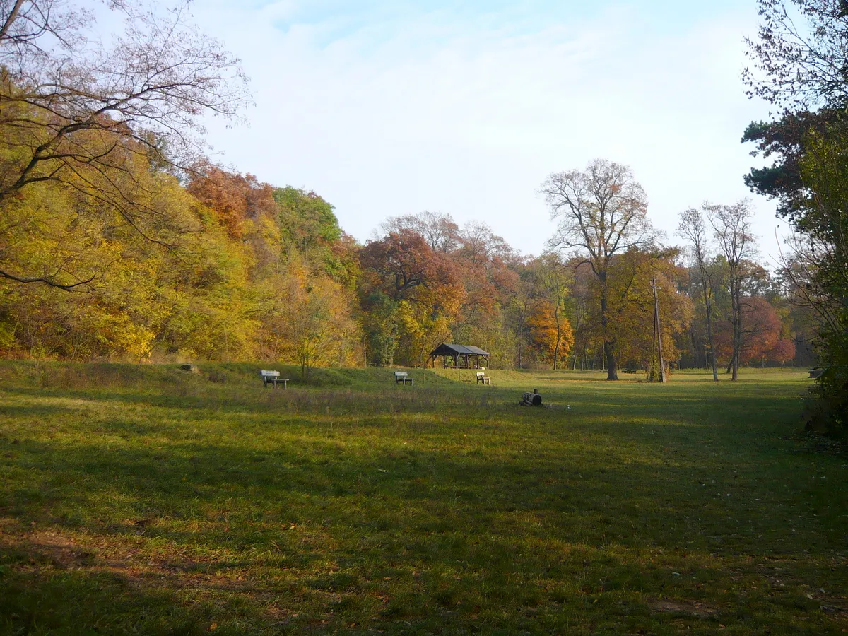 A kamaraerdei Nagyrét őszi színekben.