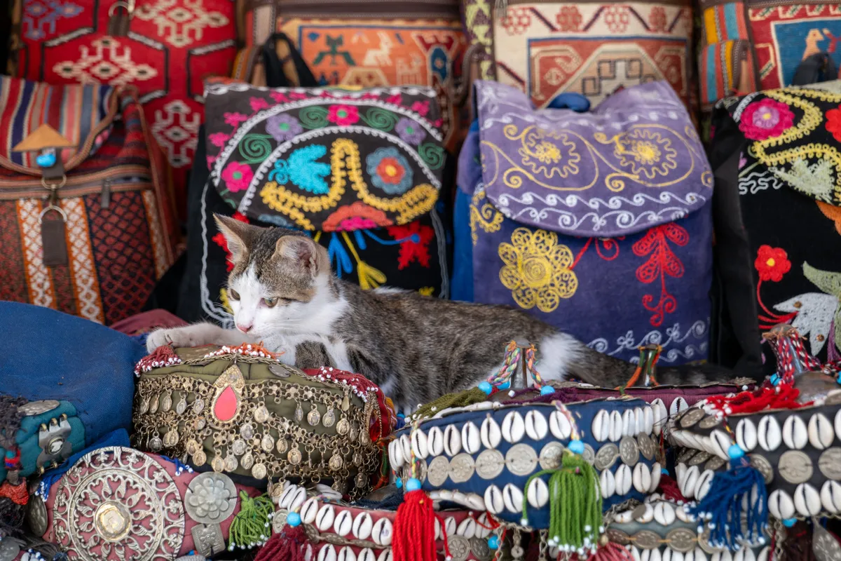 A bazárok portékái között is mindig feltűnik egy-két lustán elnyúló cica.