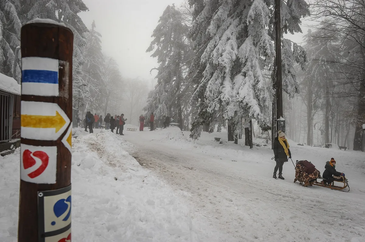 Szánkózók a Mátra egyik szánkópályáján.
