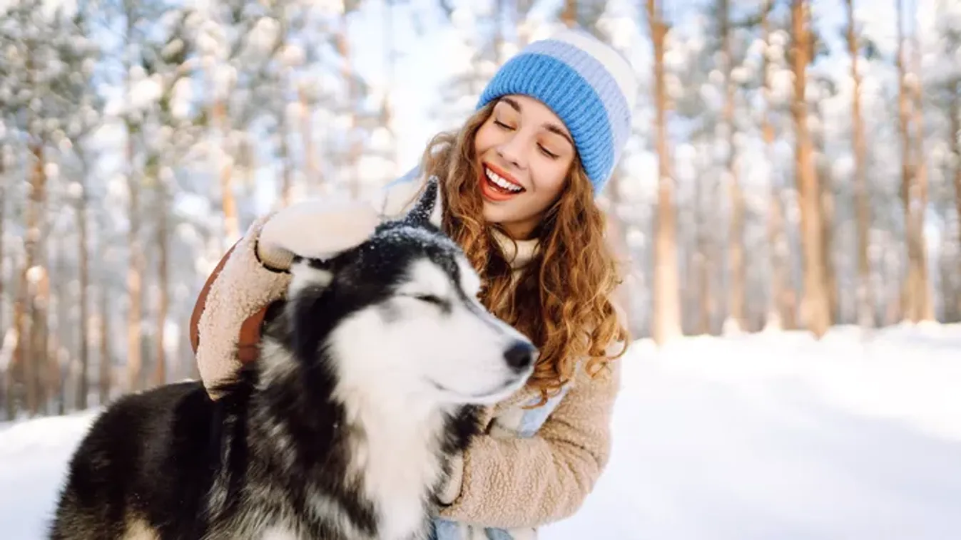 Ez a 6 legjobb kutyabarát kirándulóhely Budapest környékén