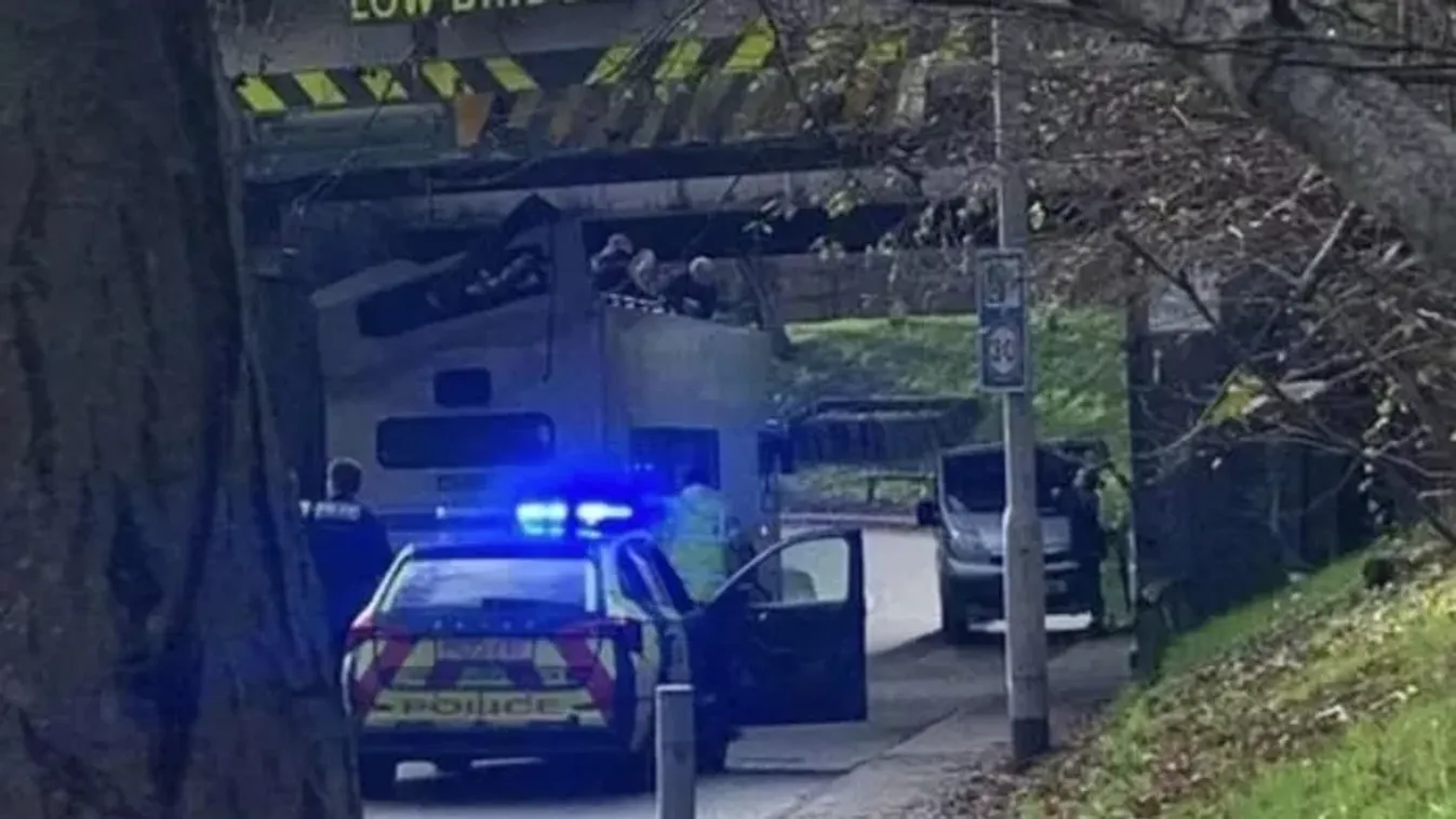 Hídnak ment az iskolabusz: gyermekek sikoltoztak, amikor leszakadt a jármű teteje