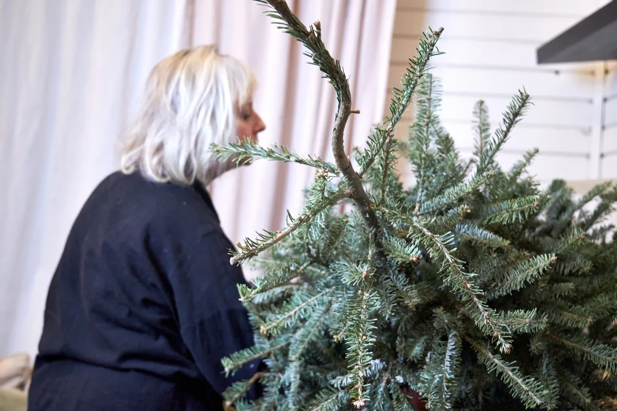 egy fehér hajú idős nő karácsonyfa lebontása közben.