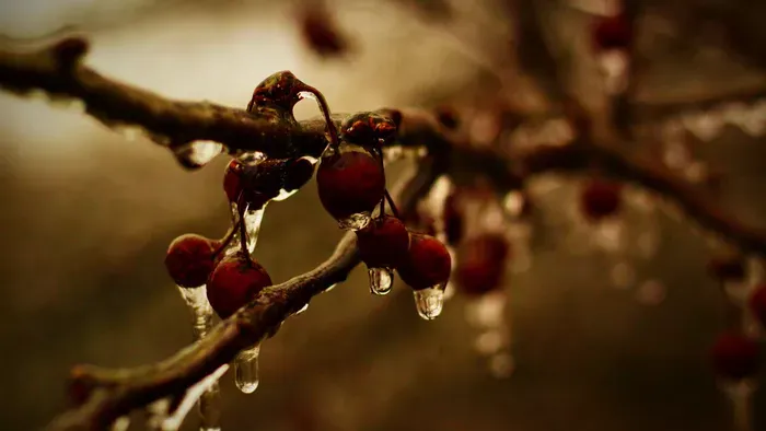 Bekeményít az időjárás december utolsó hétvégéjén