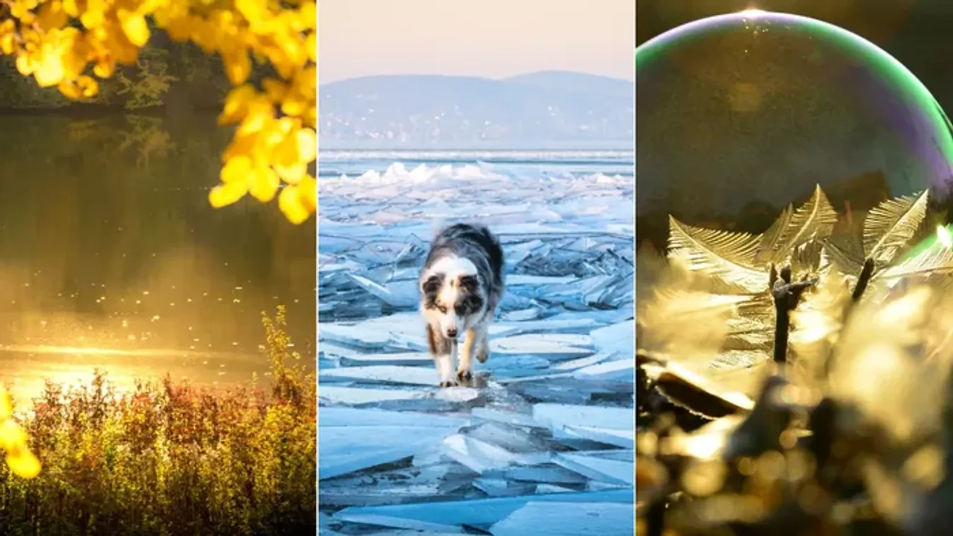 Lezárult a négy évszak fotópályázat a Borson! - Íme a nyertesek