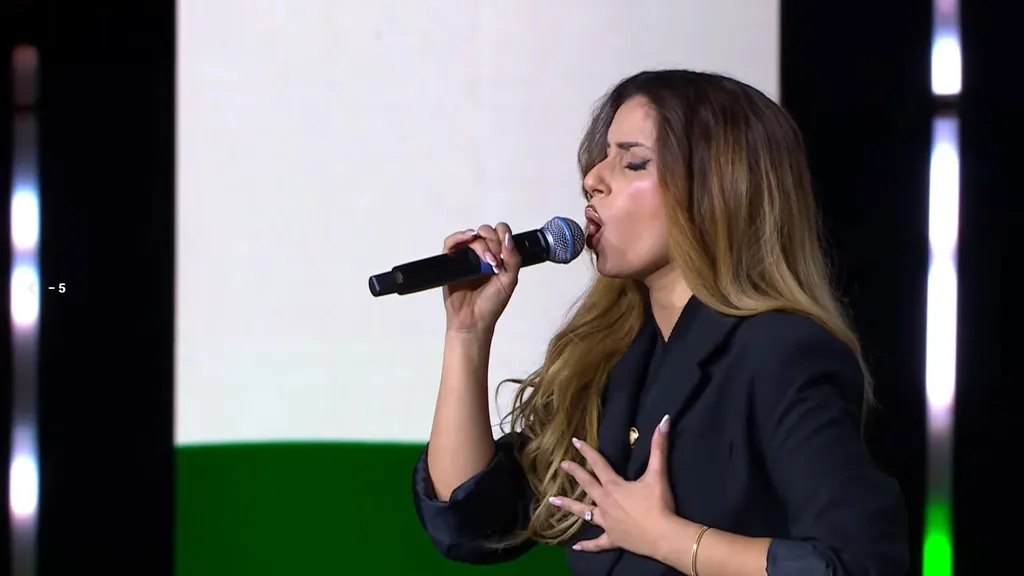 Háborúellenes Gyűlés, Mohács, 2025.12.13
DÁP, HEGY
