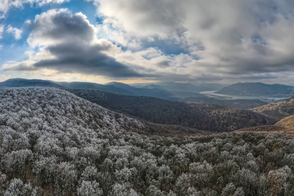 deres fák a Pilisben - téli programok közé ideális