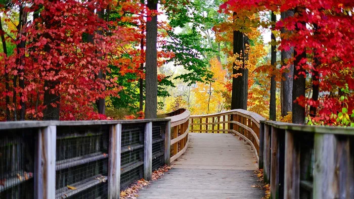 5 ingyenes tanösvény és lombkoronasétány