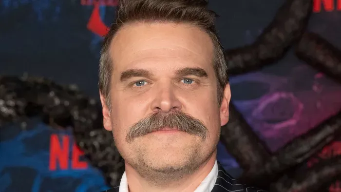 Álla bál! David Harbour meglopta egy rajongóját