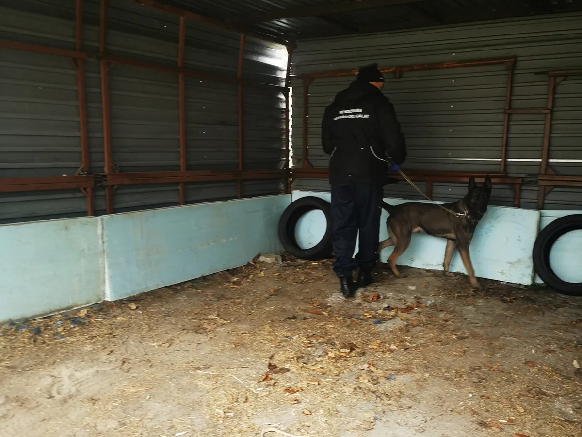 A vevők válogathattak a tiltólistás szerekből: speedet, marihuánát és kristályt is vehettek a város eldugott utcájában